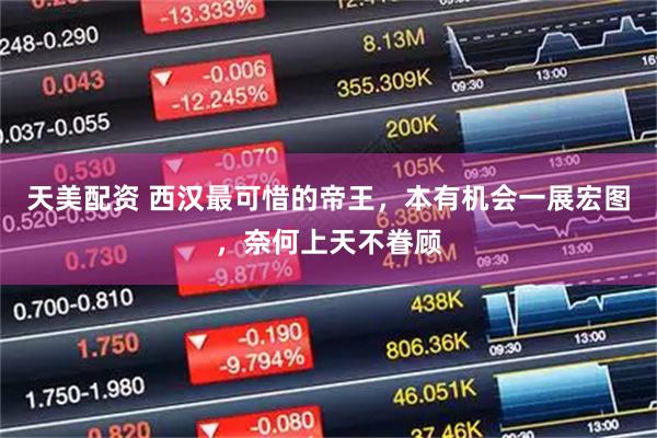 天美配资 西汉最可惜的帝王，本有机会一展宏图，奈何上天不眷顾
